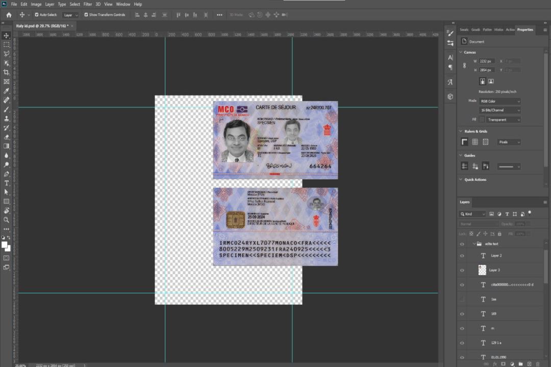 Titre de séjour à Monaco 2024-présent template Titre de séjour à Monaco 2024-présent template